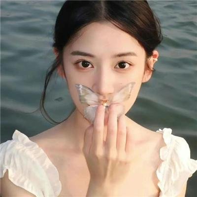 白鸥啊 不要飞起来